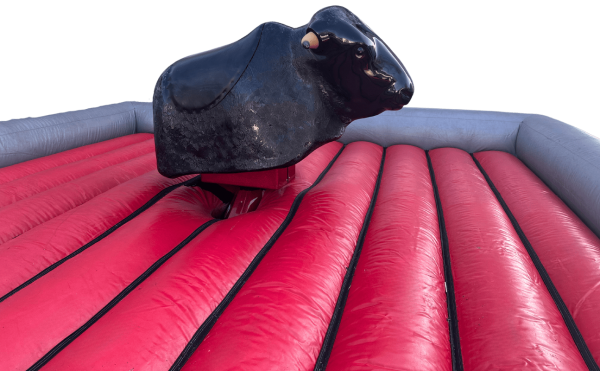 Bullriding bis zu 4 Stunden Aktionszeit