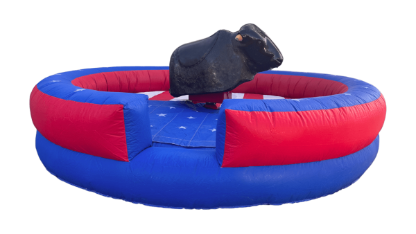 Bullriding bis zu 4 Stunden Aktionszeit